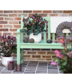 Schneerose 'Ice N' Roses® Red' - Helleborus Gold Collection® -Gartenbedarf Geschäft 8010969 WE MO 001 HelleborusWeinrotDehnerExpressHerzig