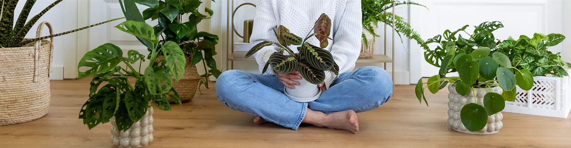 Gartenbedarf Geschäft -Gartenbedarf Geschäft 3